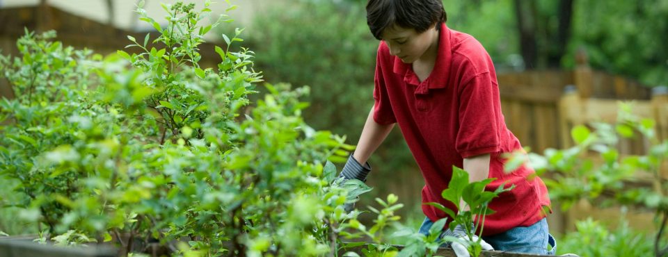 Aufruf zur Mithilfe im Verbandsgarten – 20. September 2025