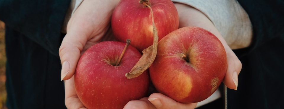 Samstag, 30. September: Apfel-Erntefest auf dem Vereinsplatz 🛎